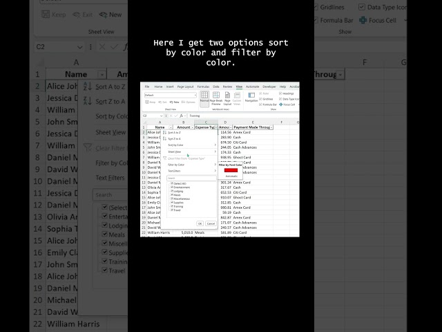 Excel filter and sort explanations for beginners
