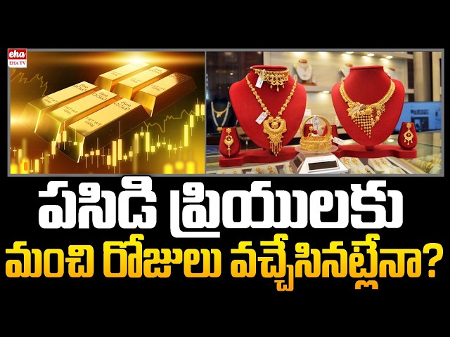 Good News for Gold Buyers? How Much Could Gold Prices Fall?| EHA TV