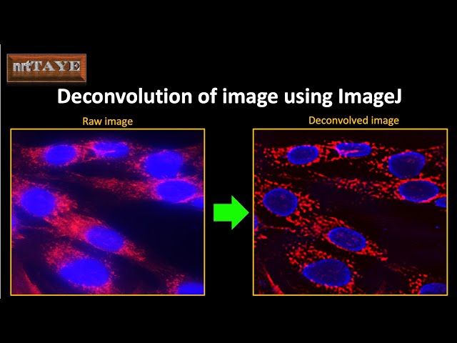 Deconvolution of image using ImageJ