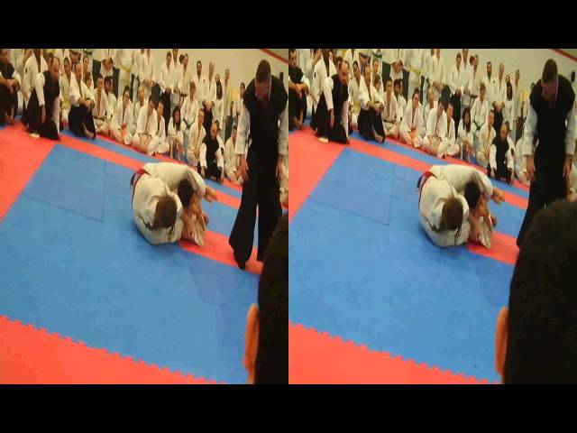 Senh v Lewis 2014 Randori Open