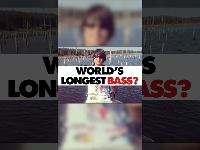 Is This the World’s Longest Bass? Dalton Tomplait #fishing #bassfishing  #outdoors