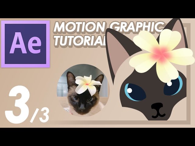 Animating Cat Tutorial in AFTER EFFECTS - 3/3 [Motion graphic - Korean Sub]