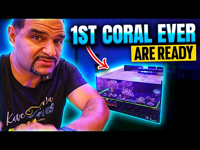 I Added 7 Different Corals and THIS Happened