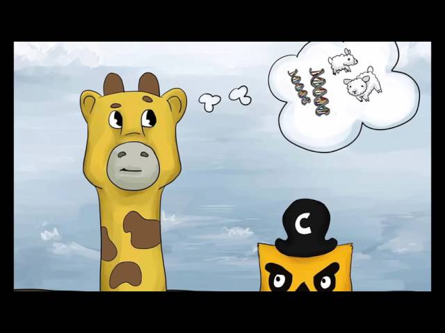 The Illustrated Children's Guide to Kubernetes