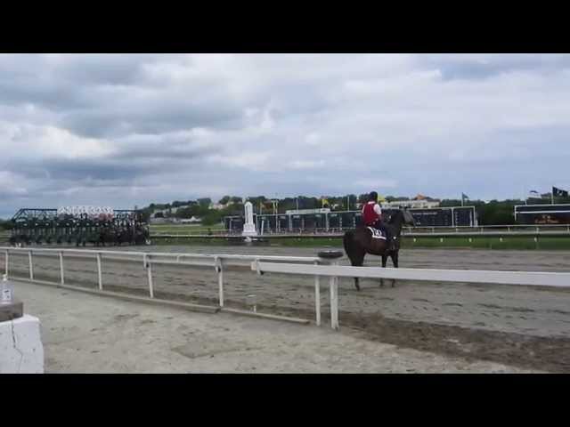 Suffolk Downs in HD - Horses Out of Starting Gate