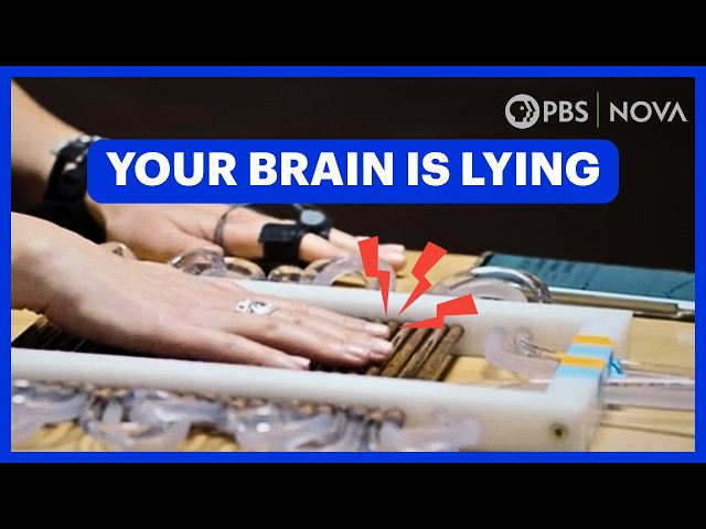 Your Reality Is a Simulation | NOVA | PBS