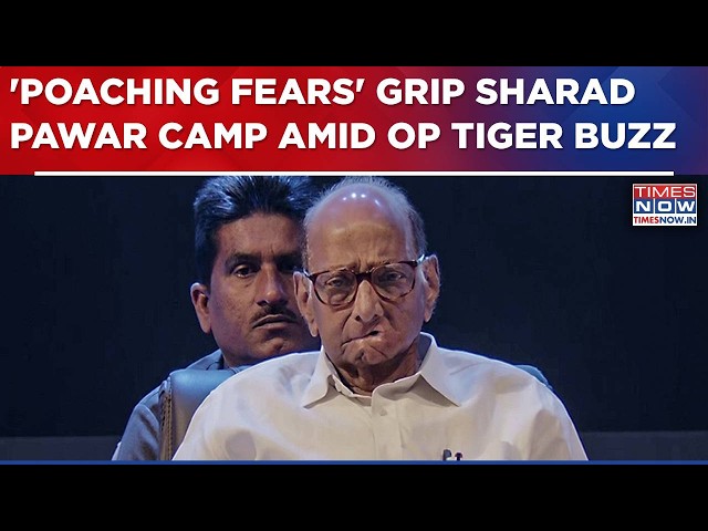 'Poaching Fears' Spill Over To Sharad Pawar Camp: NCP-SP Leaders To Hold Key Meet Amid Op Tiger Buzz