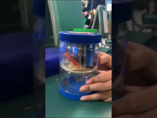 Diseminasi Projek STEM Hasil Karya Mata Kuliah Metode STEM