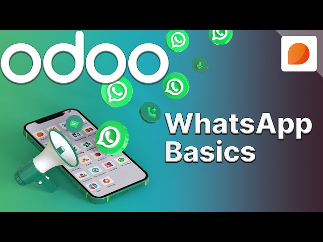 WhatsApp Basics | Odoo Discuss