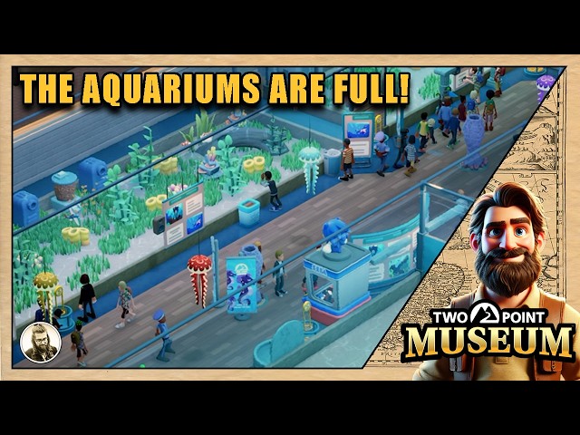 Two Point Museum Gameplay 2026 | New Fish, Bull Sharks & Gulfweed Grove