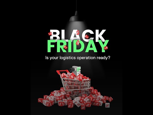 Black Friday - stress test for logistics