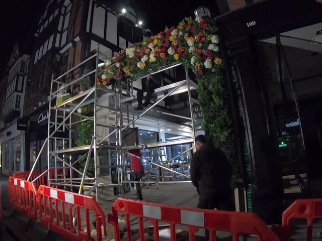 TQ Flower Arch timelapse 1