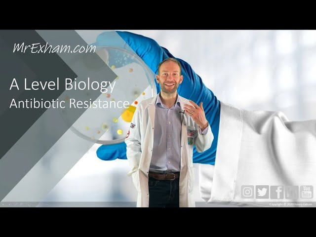 Antibiotic Resistance - A Level Biology