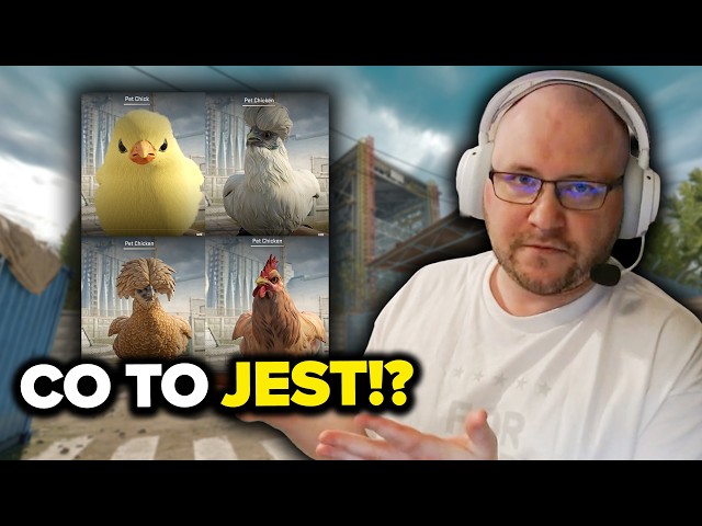 CHICKENS INSTEAD OF ANTI-CHEAT! - Opinion on the new CS2 update