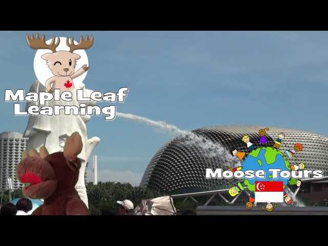 Singapore - Moose Tours
