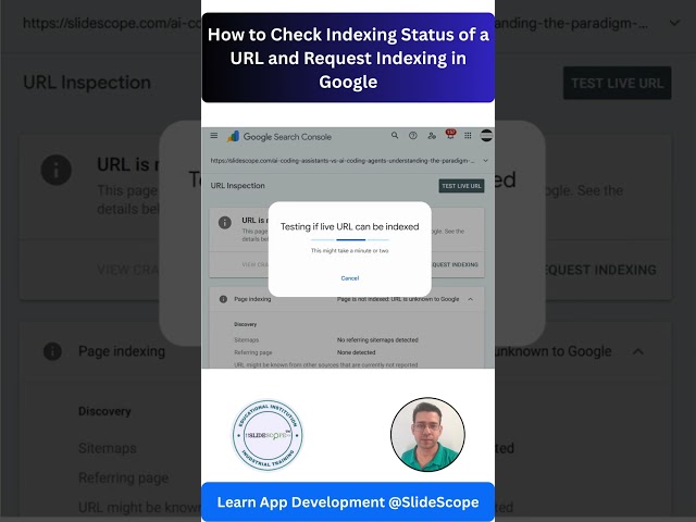 How to Check Indexing Status of a URL and Request Indexing in Google?