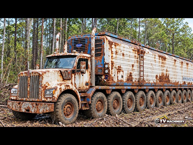 Forgotten in the Forest: Full Restoration of a Rusted Kenworth W990 Refrigerated Truck