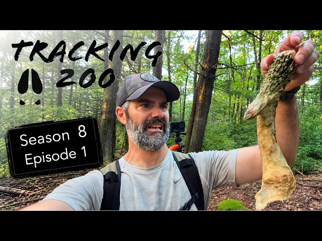 S8E1 Tracking 200: New Season, Old Shed, Trail Camera mistakes