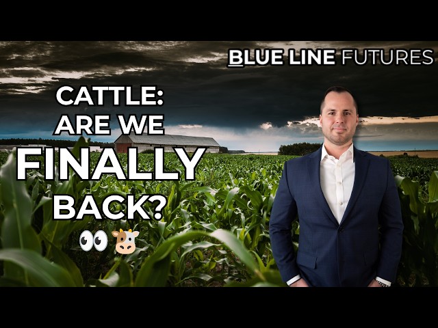 The 10-Year Yield Just Hit 5%. Here's What That Means for Grains, Cattle, and Beyond