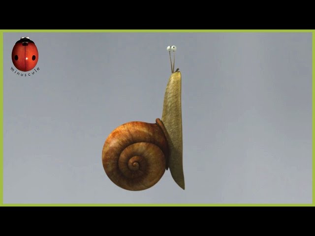 A Dream Of Speed | Minuscule