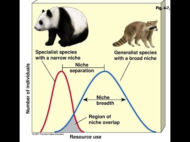 Species Distribution Modeling: Calibration and Evaluation
