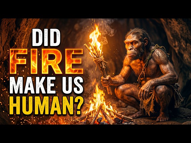 How Fire Made Us Human: The Ancient Secret Behind Our Superbrain | History For Sleep