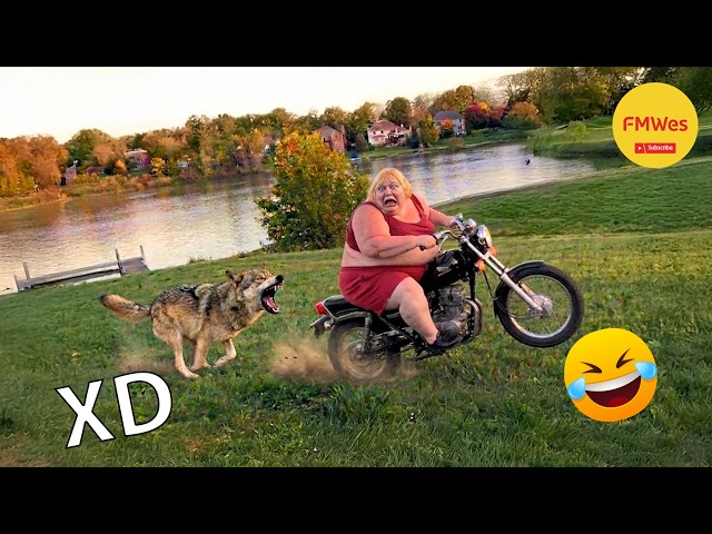 IF YOU LAUGH YOU LOSE GOD LEVEL #676 🤣 FUNNY VIDEOS 😎 MEXICAN VIRAL HUMOR 🤣