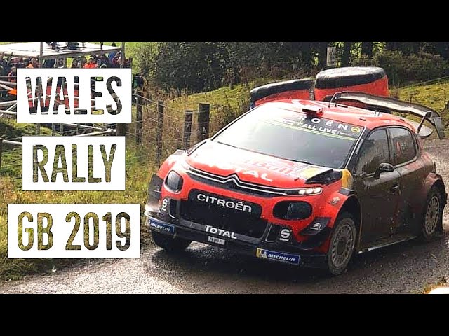 WRC - Wales Rally GB 2019 - Mud + High speeds! [HD]