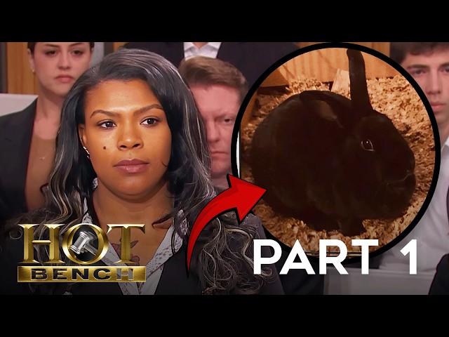 A Hare-y Situation | Part 1 | Hot Bench