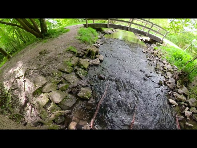 360° VR German Forrest recovering recharge, meditation, sleeping well with music