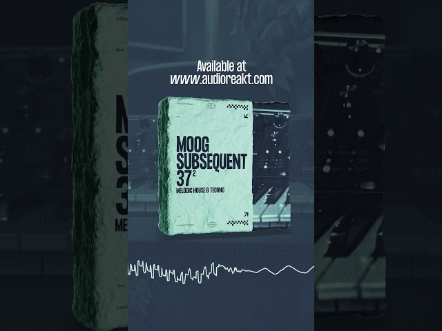 Moog Subsequent 37 : Melodic House & Techno Presets 2 - Demo 2