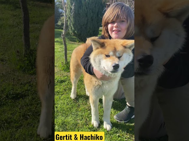 Gerti and The Best Friend Hachiko ❤️ #Shorts
