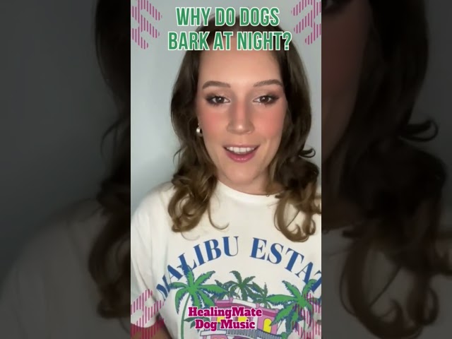 🐶💖Why Do Dogs Bark at Night?💖🐶