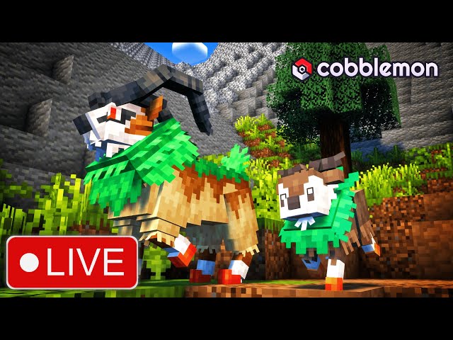 🔴 Cobblemon Public Server LIVE | Starting From Scratch Survival (Hindi)