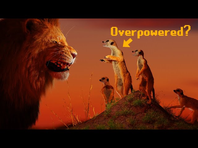 Are Mongooses Overpowered?