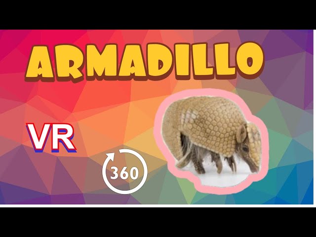 ARMADILLO AT NORTHUMBERLAND COUNTY ZOO