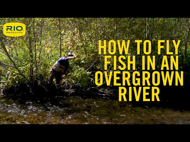 How To Fly Fish In An Overgrown River - S5 E10
