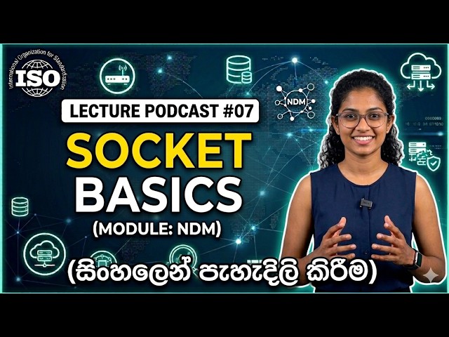Socket Basics: Understanding Network Sockets (NDM Module) - Lecture #07