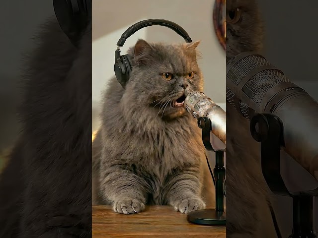 He just wants to Sleep!
