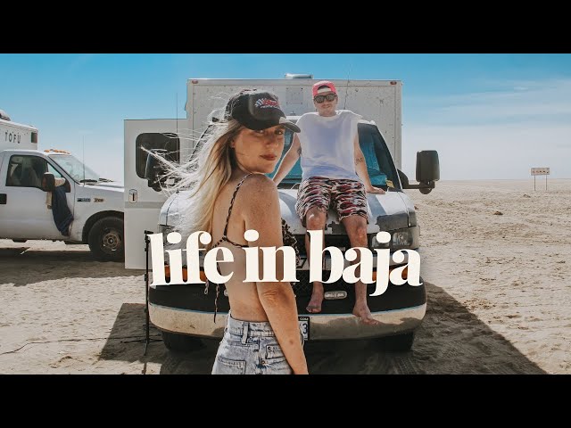 FREE Beach Camping In Baja (van life Mexico)
