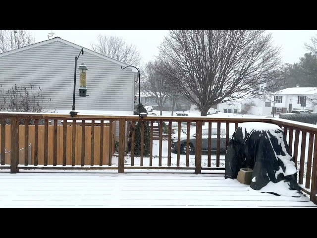 Falling Snow: 4K HDR Timelapse | Snowstorm Izzy [1-16-2022]