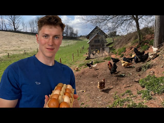 Micro Farm Life: Daily Eggs, Beekeeping, Outdoor Cooking & Gardening