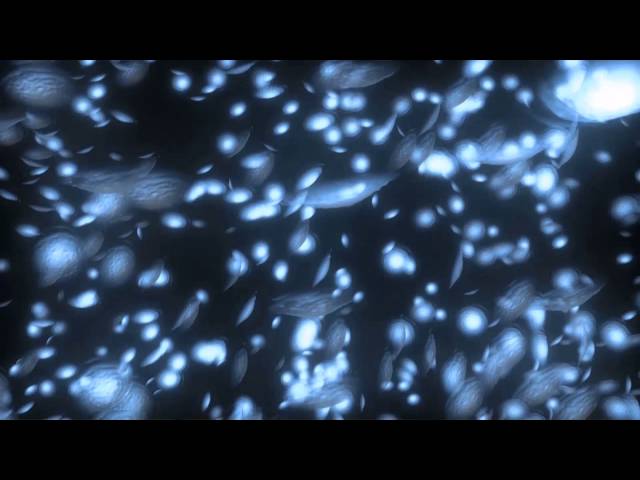 Yabazam sci-fi promo 2014
