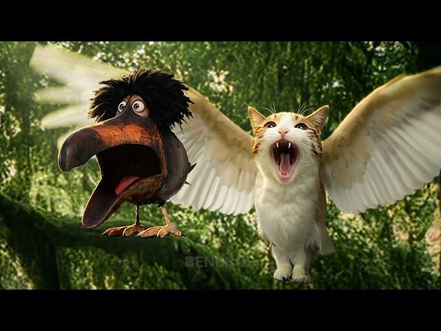 Nature Documentary : Meowl