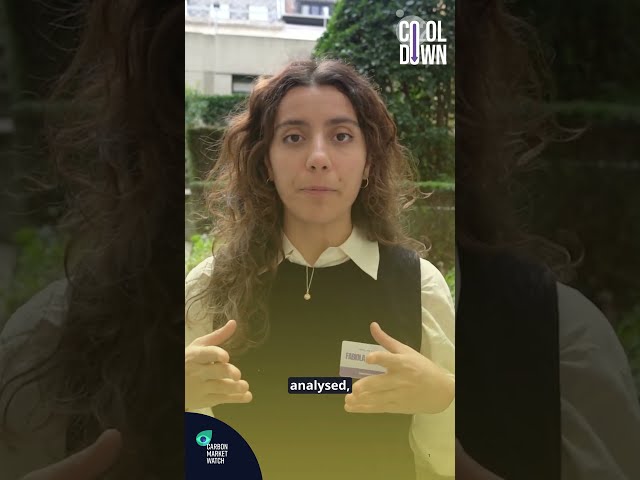 The CO2olest policy in Brussels