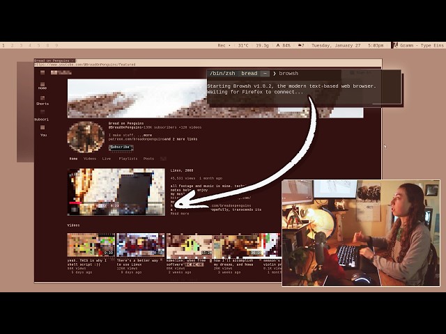 the world-wide-web, right from your terminal