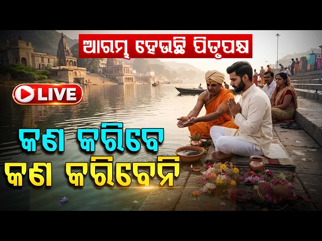 🔴Live | କଣ କରିବେ କଣ କରିବେନି | Argus Special |Argus News
