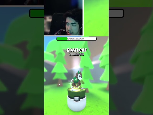 something doesn't seem right... in Pet Fighters Simulator