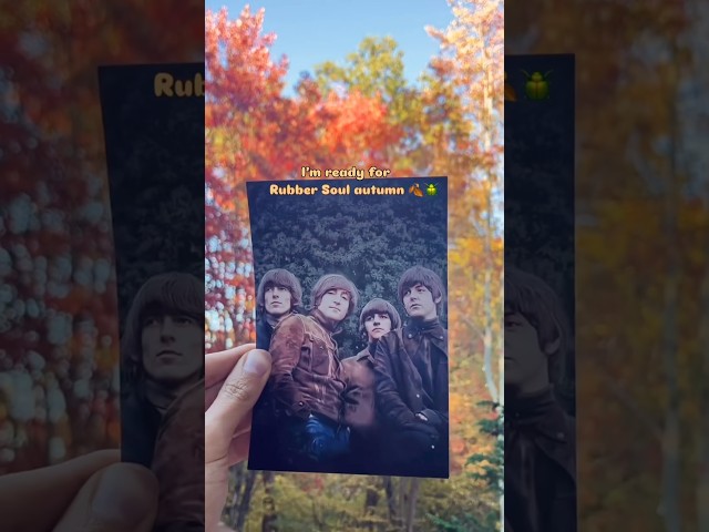 My favorite time of year as a @TheBeatles fan! 🧡 #thebeatles #rubbersoul