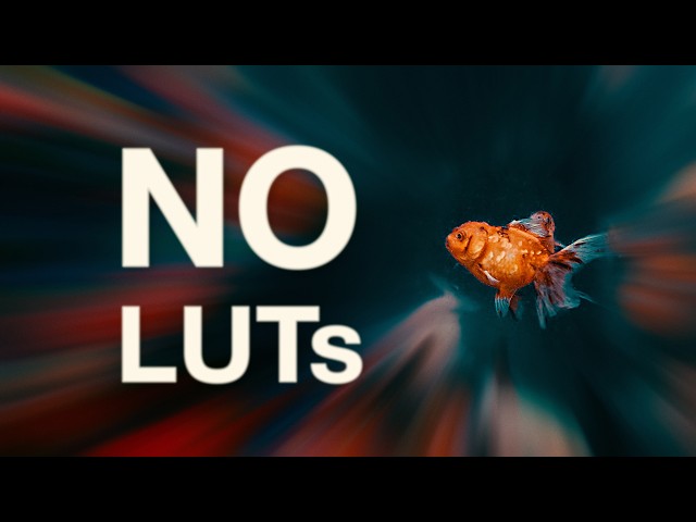 The Highest Level of Color Grading — No LUTs, No Plugins